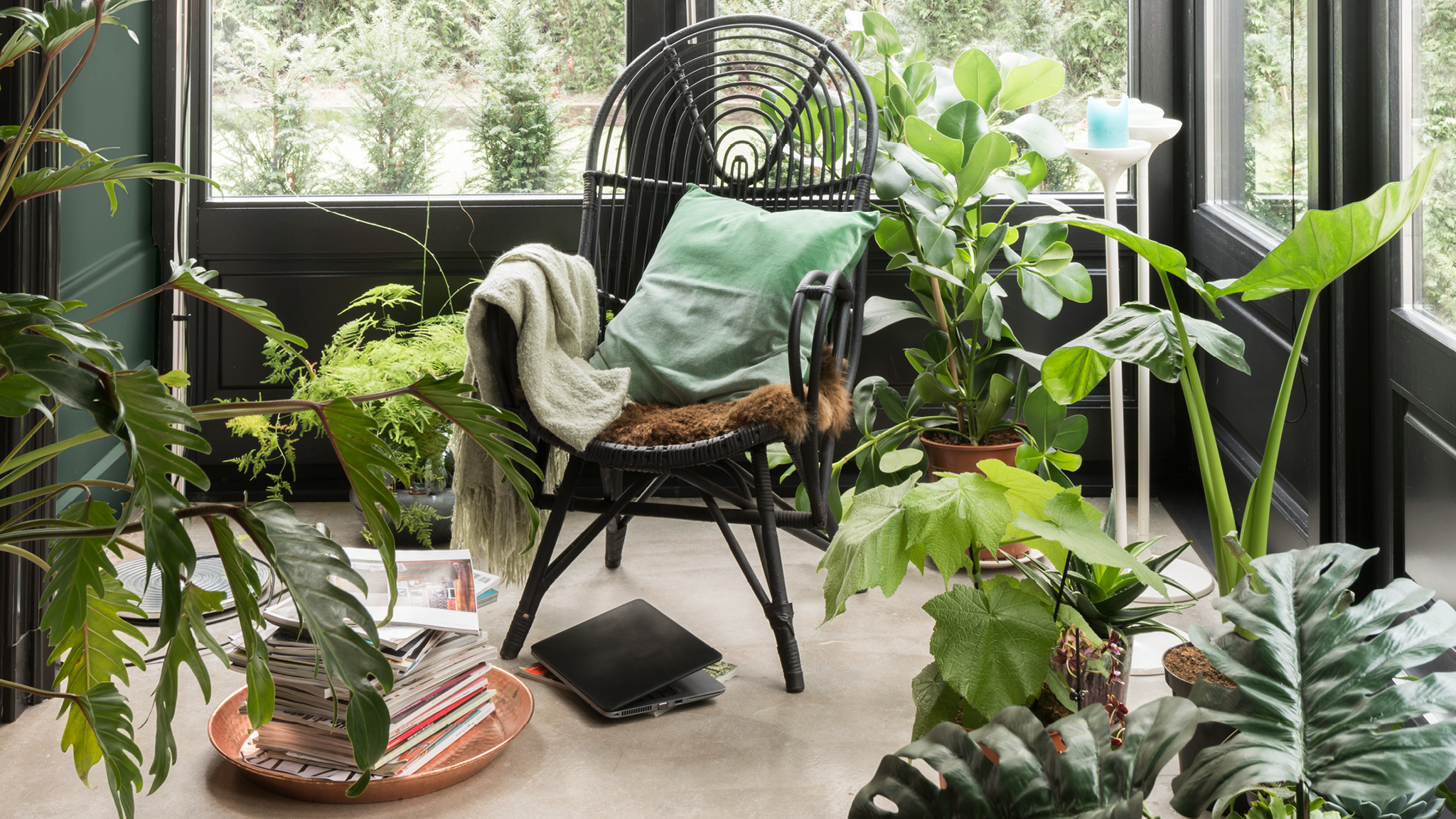 Habitaciones claras con plantas Los motivos botánicos, las telas naturales y los materiales orgánicos suavizan los espacios interiores.